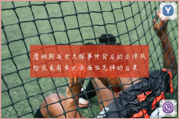 詹姆斯高尔夫球事件背后的法律风险究竟有多大会面临怎样的后果
